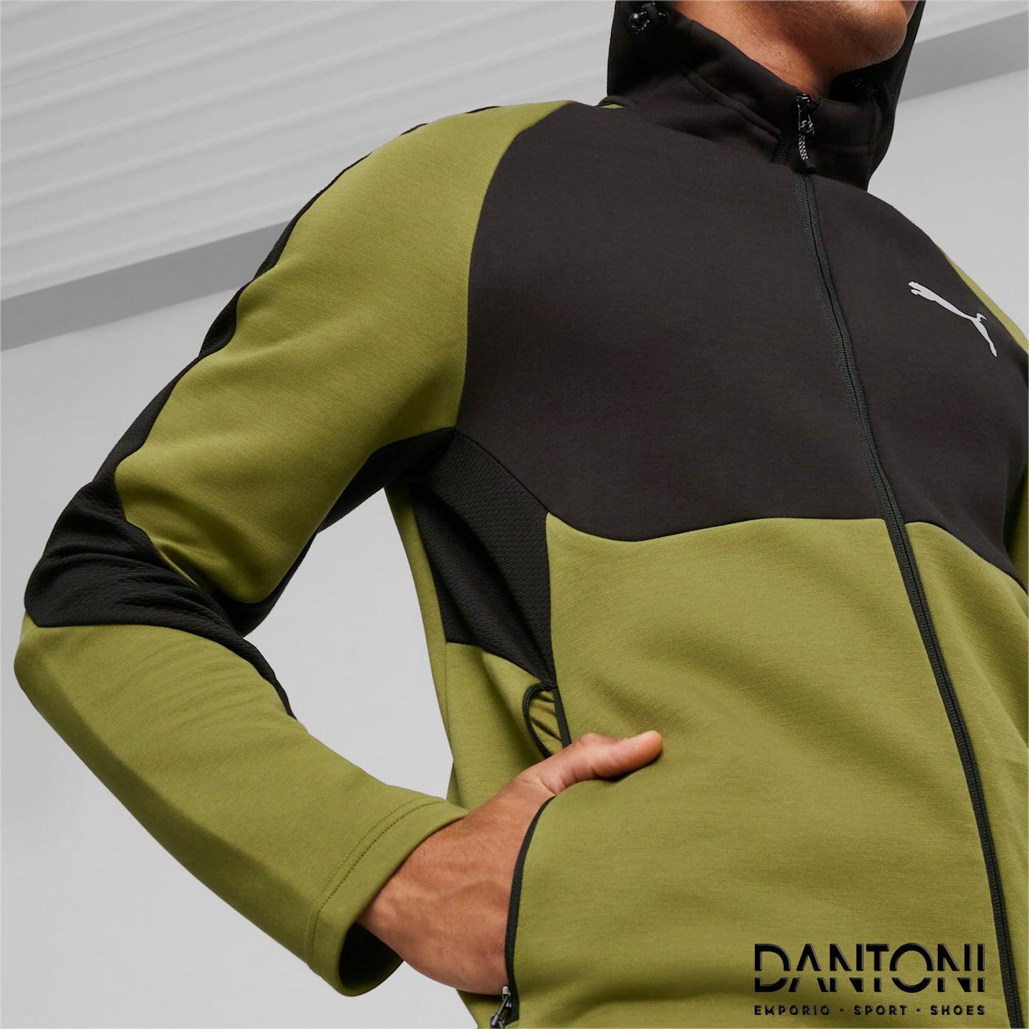 EVOSTRIPE Men's Full-Zip Hoodie - Dantoni Shop