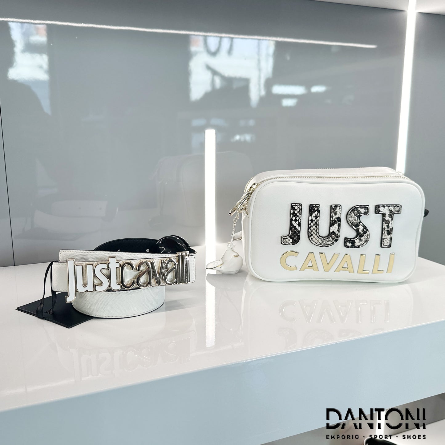 CINTA JUST CAVALLI B - Dantoni Shop