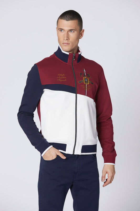 TRICOLORE FRECCE